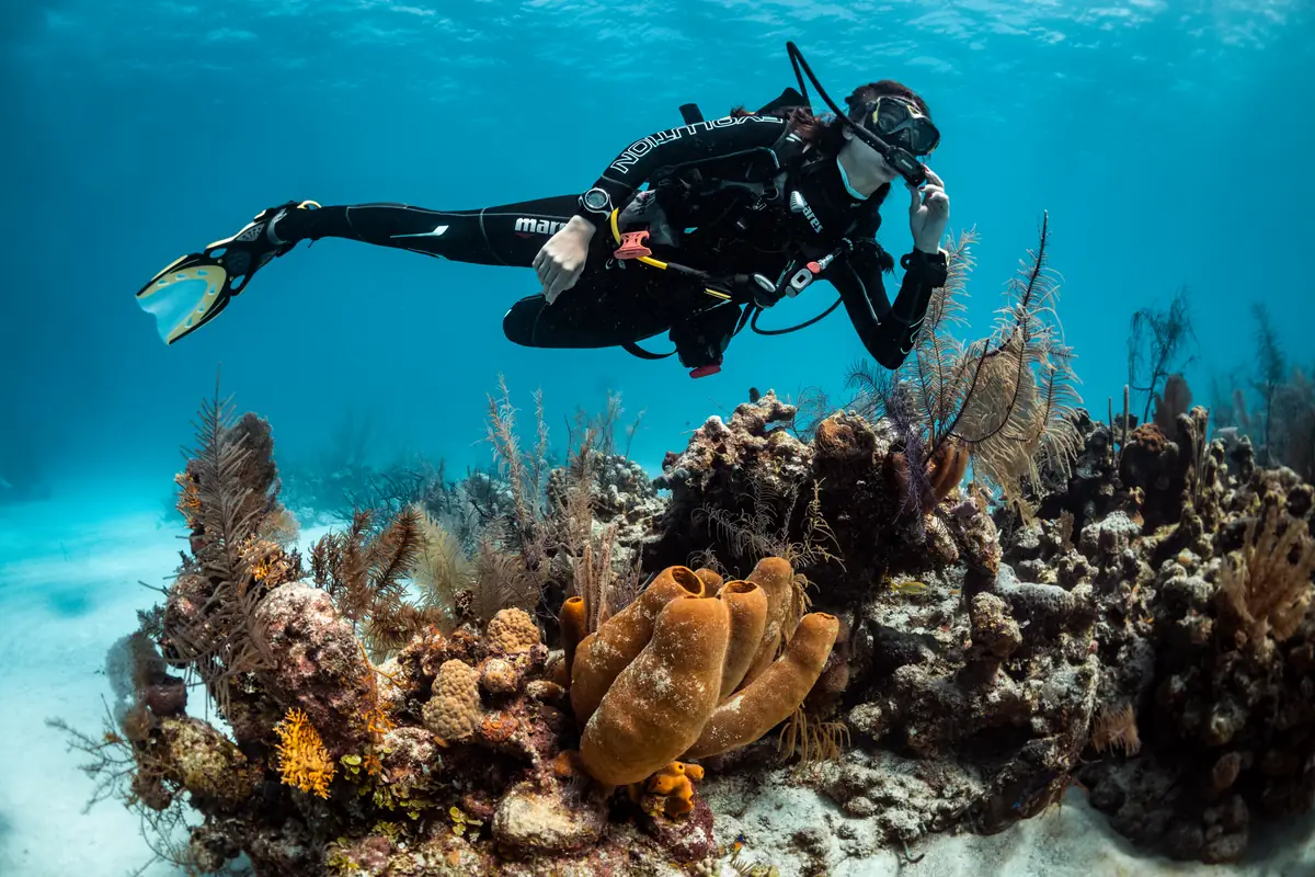 Scuba diving in Singapore and Malaysia – a scuba diver gliding over a coral reef